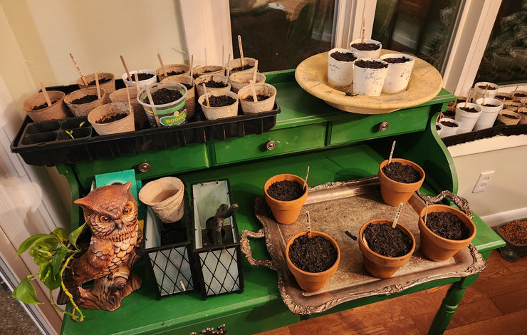 Open Your Notebook and Your Mind: The Power of a Writer’s Mindset