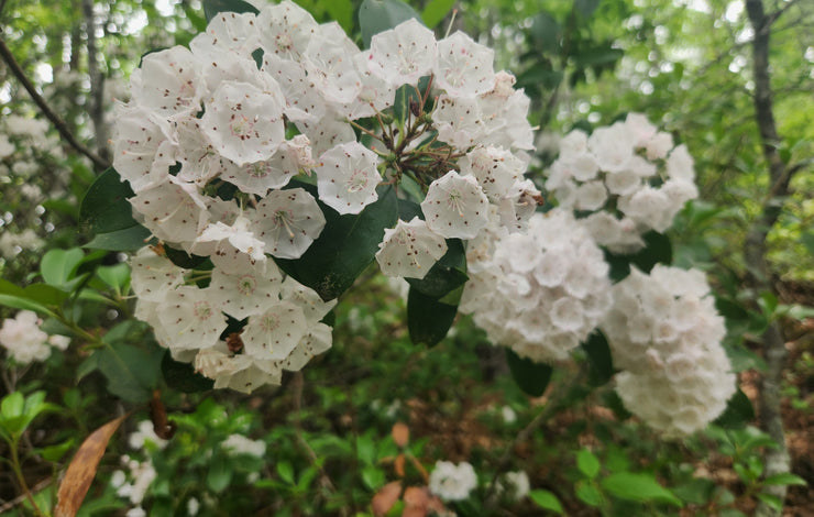 Grammar and Mechanics Resources Every Author Should Bookmark