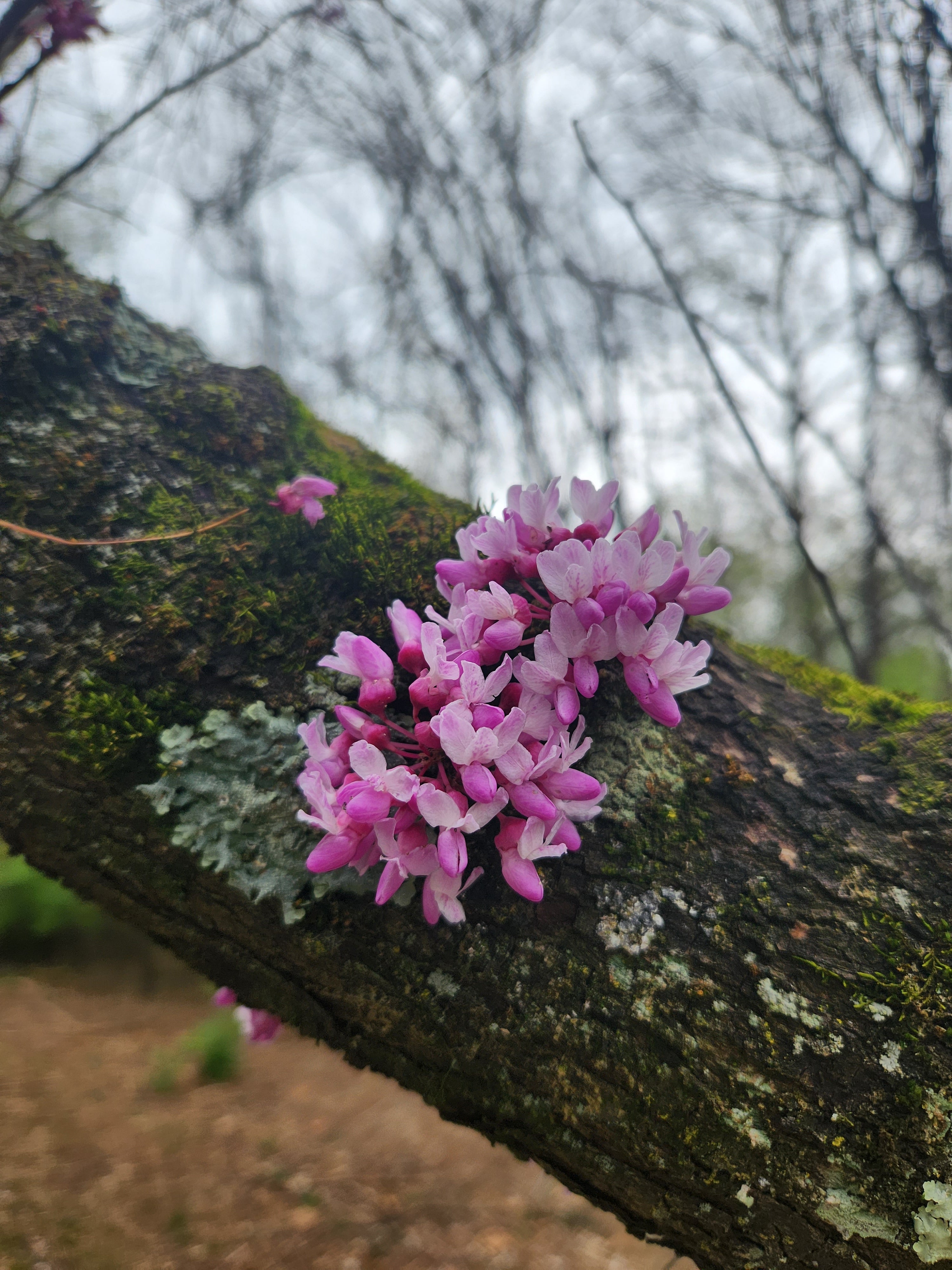 Change Your Thoughts, Change Your Book (and Your Life)