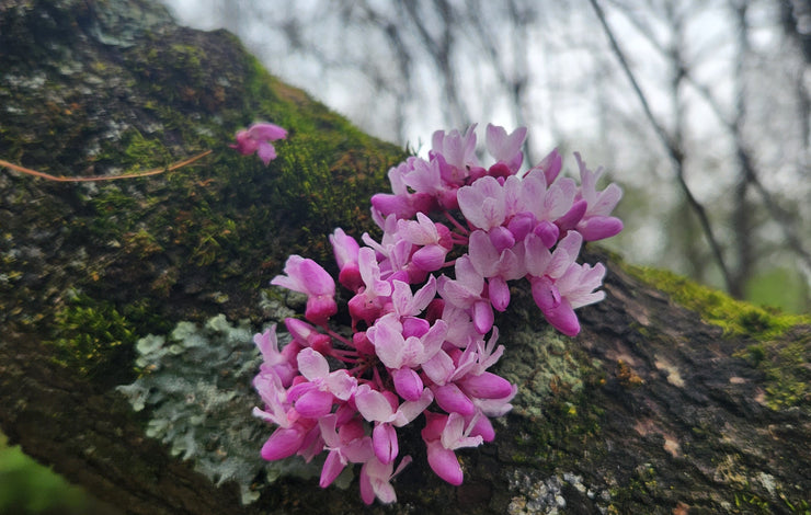 Change Your Thoughts, Change Your Book (and Your Life)