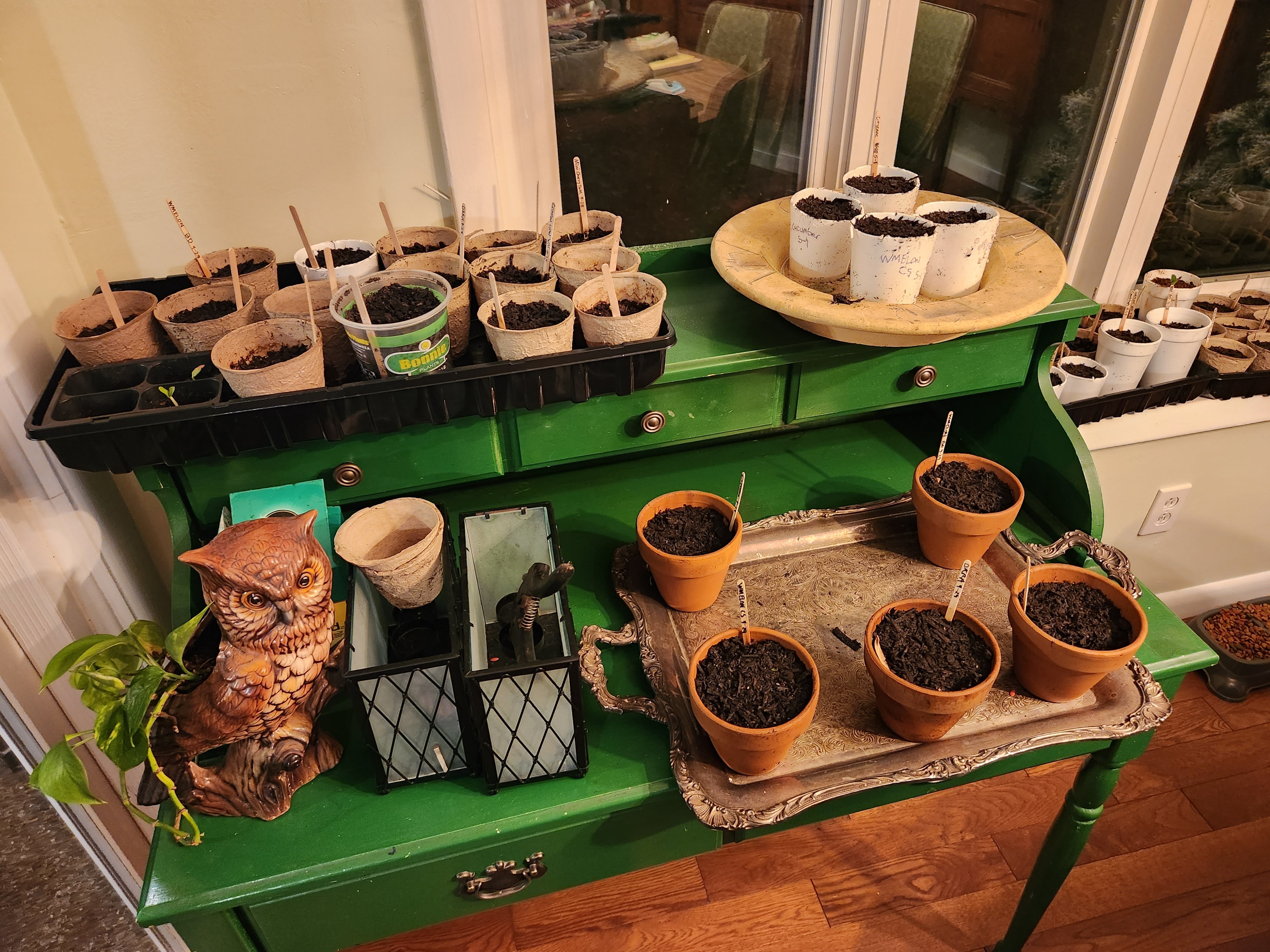 Open Your Notebook and Your Mind: The Power of a Writer’s Mindset