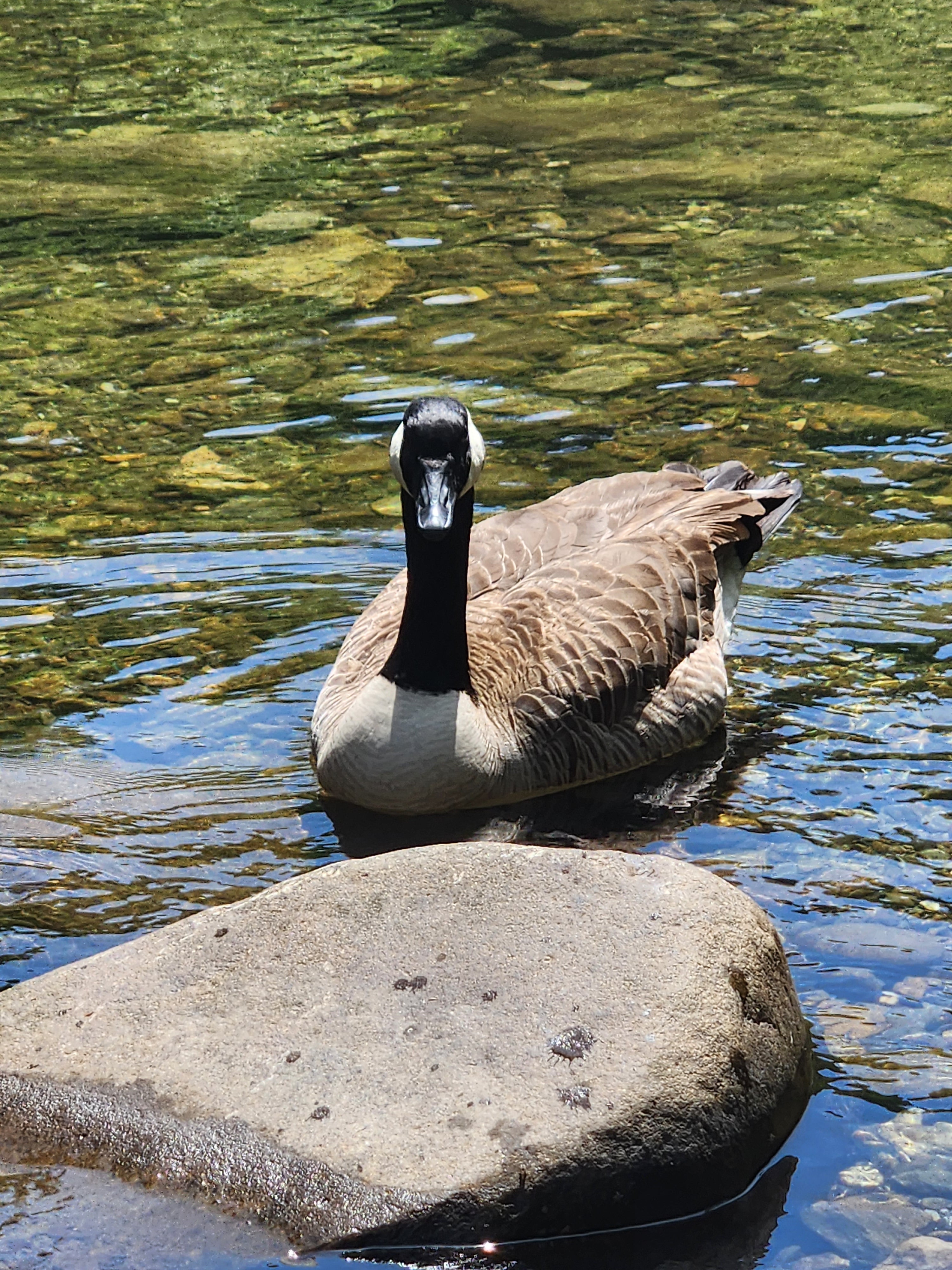 Editor Pet Peeves: A Checklist to Improve Your Manuscript