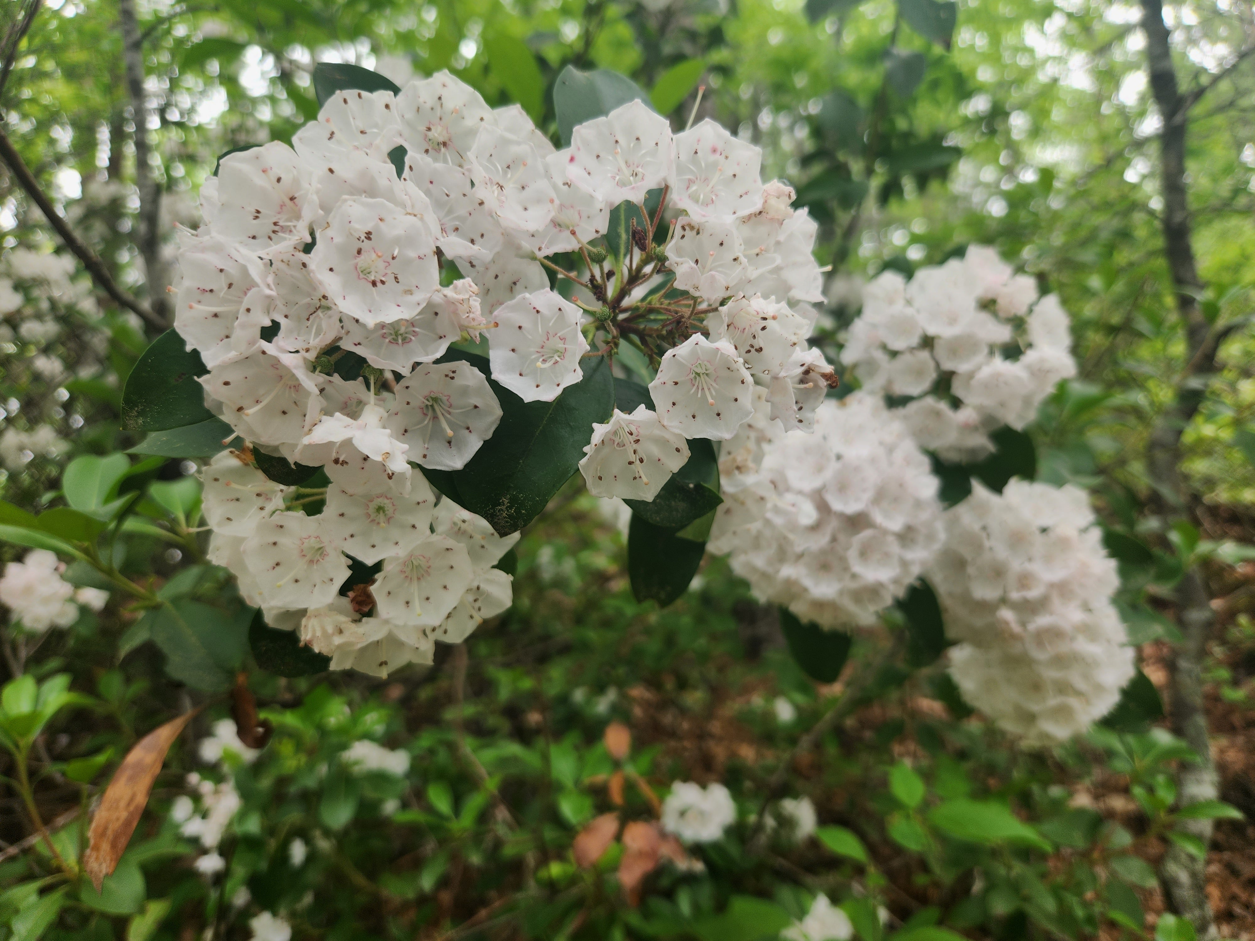 Grammar and Mechanics Resources Every Author Should Bookmark